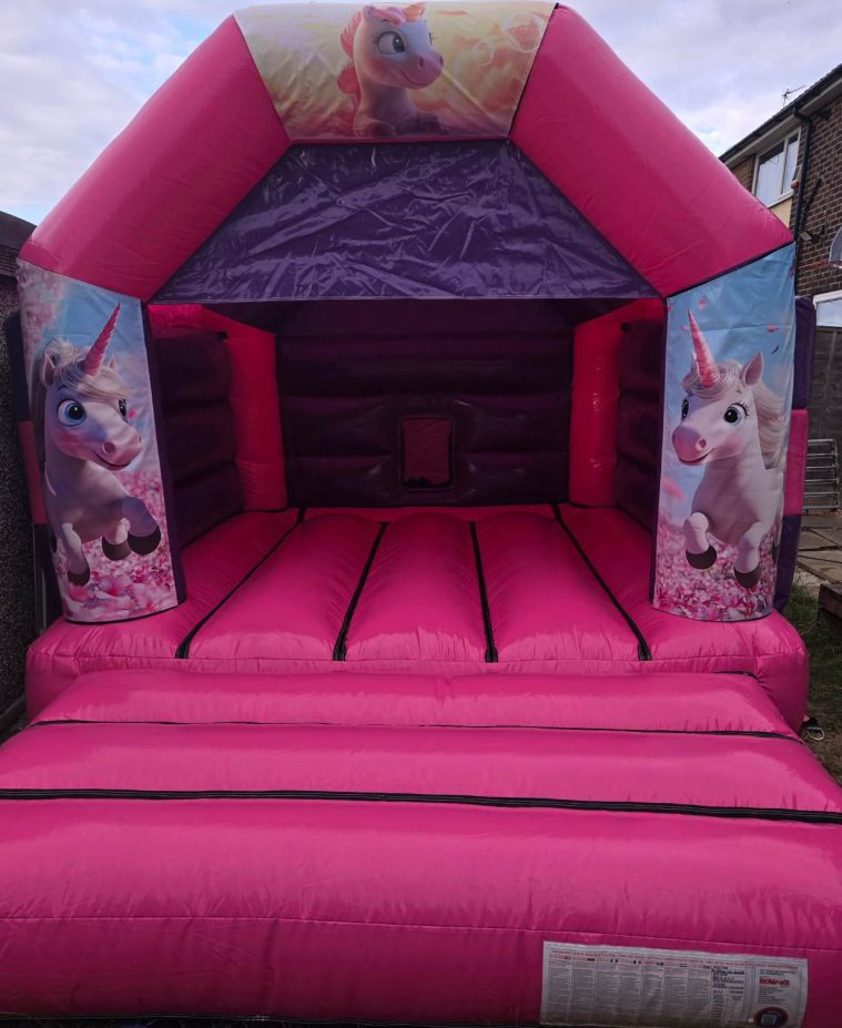 Disco Bounce Multiple themes £95