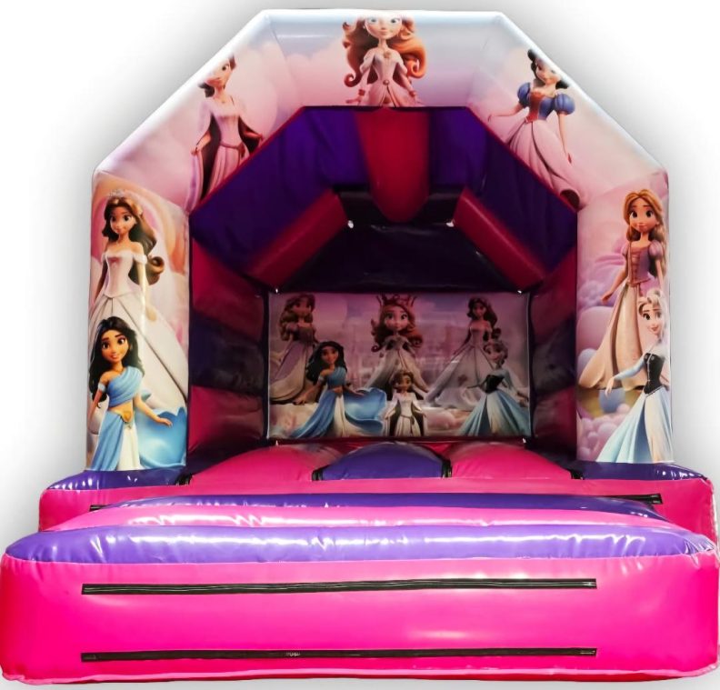 Disney princess Castle £70